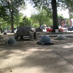 turtle park