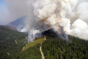 Glacier National Park Fire